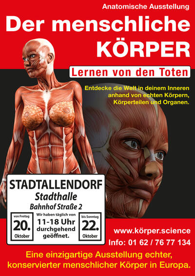 Anatomische Ausstellung - Der menschliche Körper